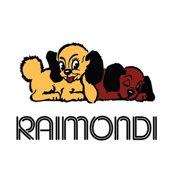 Raimondi s.p.a.