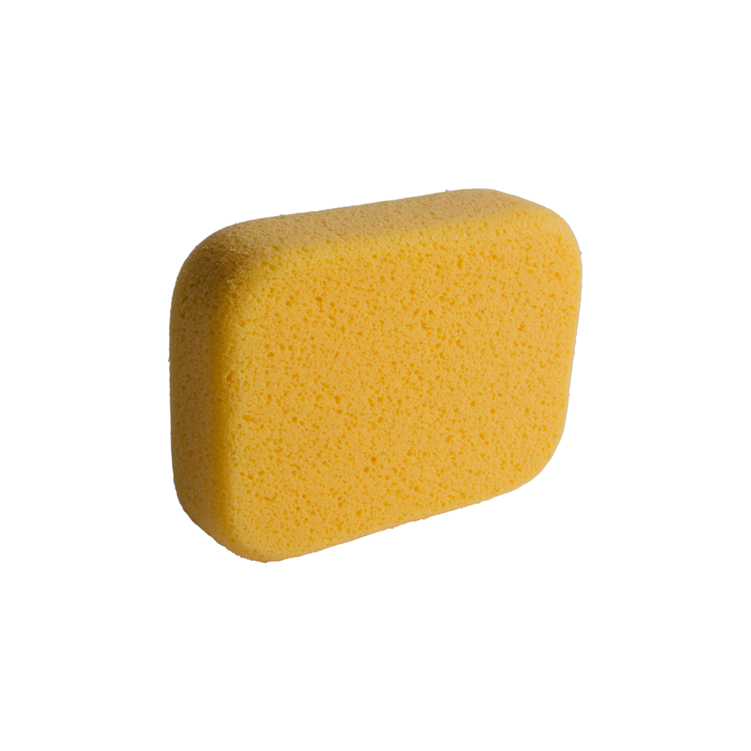 Sponges