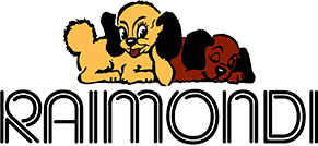 Raimondi Logo