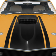Rust-Oleum Automotive Matte Finish Application