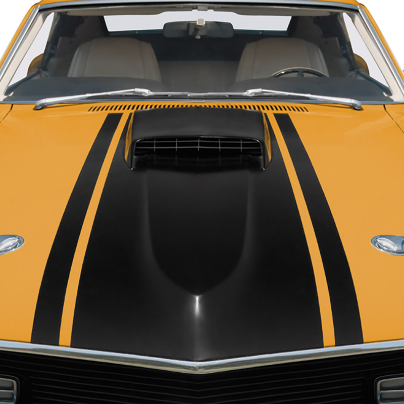 Rust-Oleum Automotive Matte Finish Application