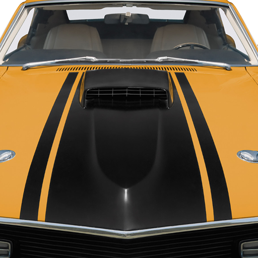 Rust-Oleum Automotive Matte Finish Application