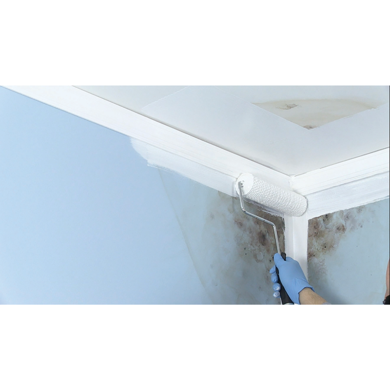 Zinsser Mold Killing Primer - Effective Mold Removal Solution