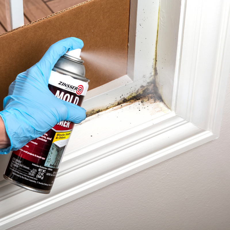 Zinsser Mold Killing Primer - Effective Mold Removal Solution